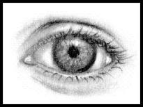 VisualArts_WriterSideUp.com_byDonnaMarie