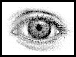 VisualArts_WriterSideUp.com_byDonnaMarie